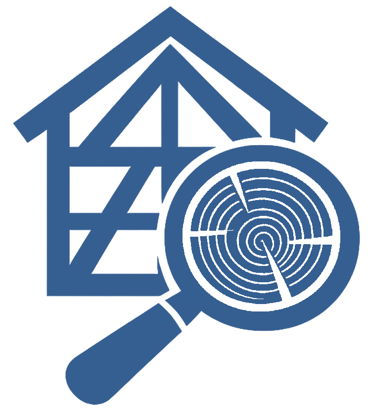 Sachverständiger für Holzschutz Nils Kajak